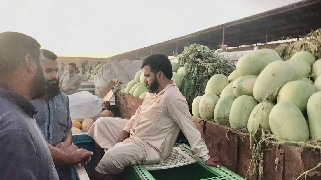 زراعة أبو غريب ليست بخير.. أمطار أيار هي السبب وحر حزيران (صور وأسعار)