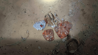 لەسەر راوکردنى ئاسک سێ کەس دەستگیرکران