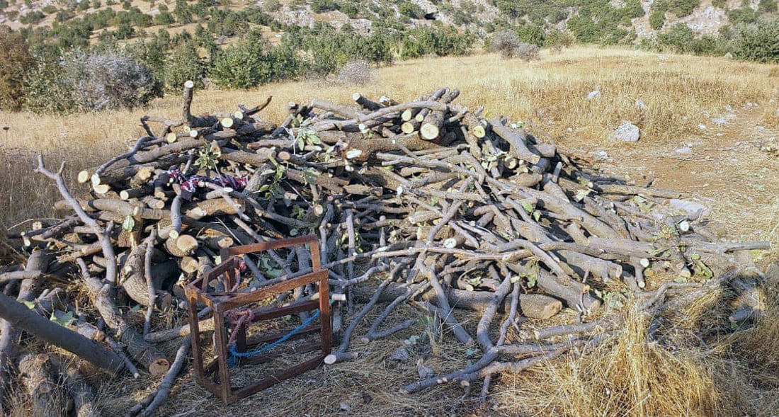 لەسەر داربڕین 15 رۆژ بەند دەکرێت