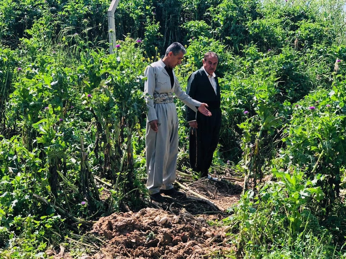 له‌ كێڵگه‌یه‌كی په‌له‌وه‌رى ته‌قته‌ق زیاتر له‌ 7000 جوجكه‌ مرداربوونەوە