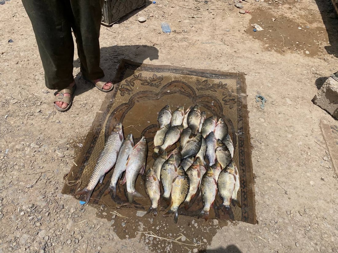 دەریاچەی حەمرین خەرمانێک خێری بۆ ناوچەکە هێنایەوە 