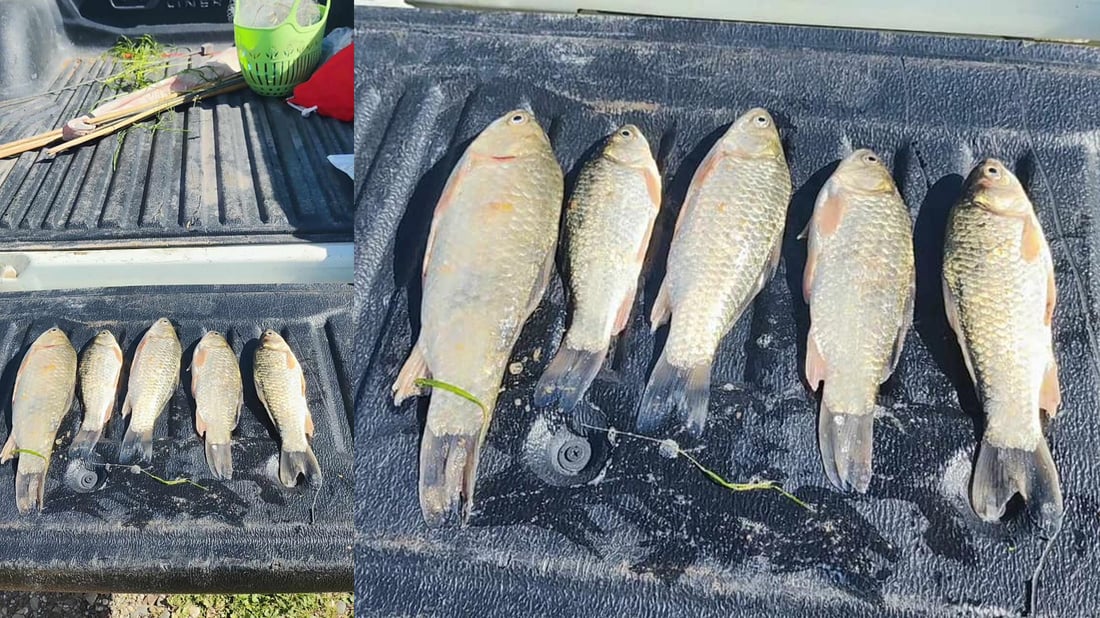 سێ راوچی بە ماسییەوە دەستگیر کران