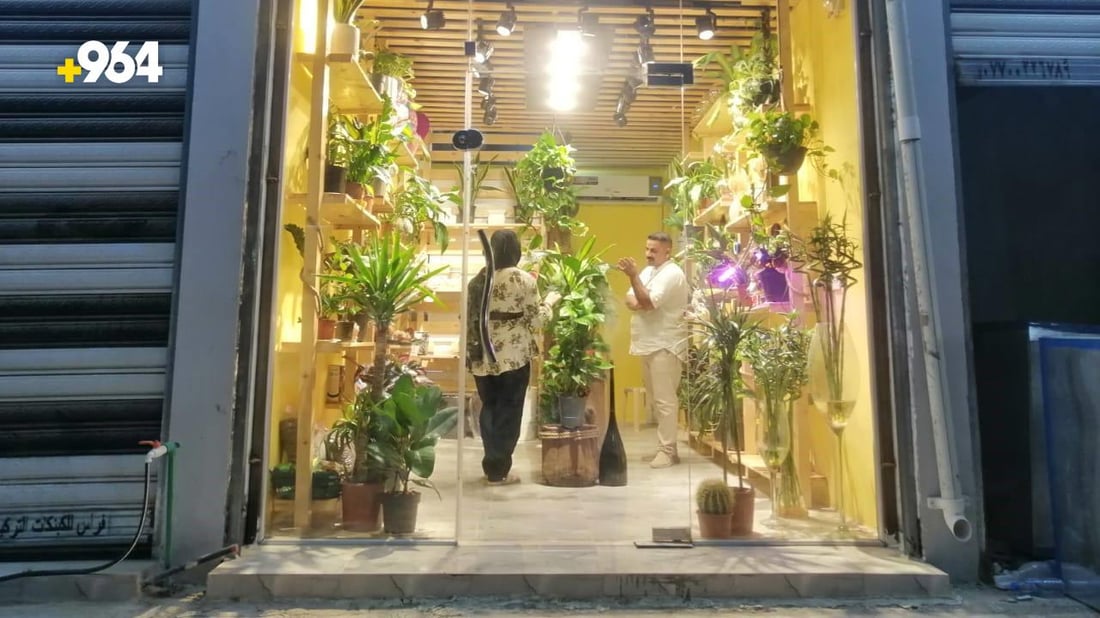 أول بائع زهور في الطارمية يطلق تحدياً: لن تجدوا أرخص من “بستوگة” (صور)