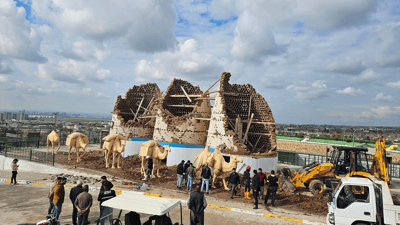 بەهۆی بارانبارینەوە سەدان کۆتر مرداربوونەوە