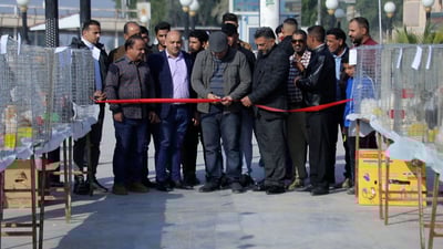 الأبراهما التركي والبلتم الإسباني في مهرجان دجاج الزينة الأول بالديوانية (صور)