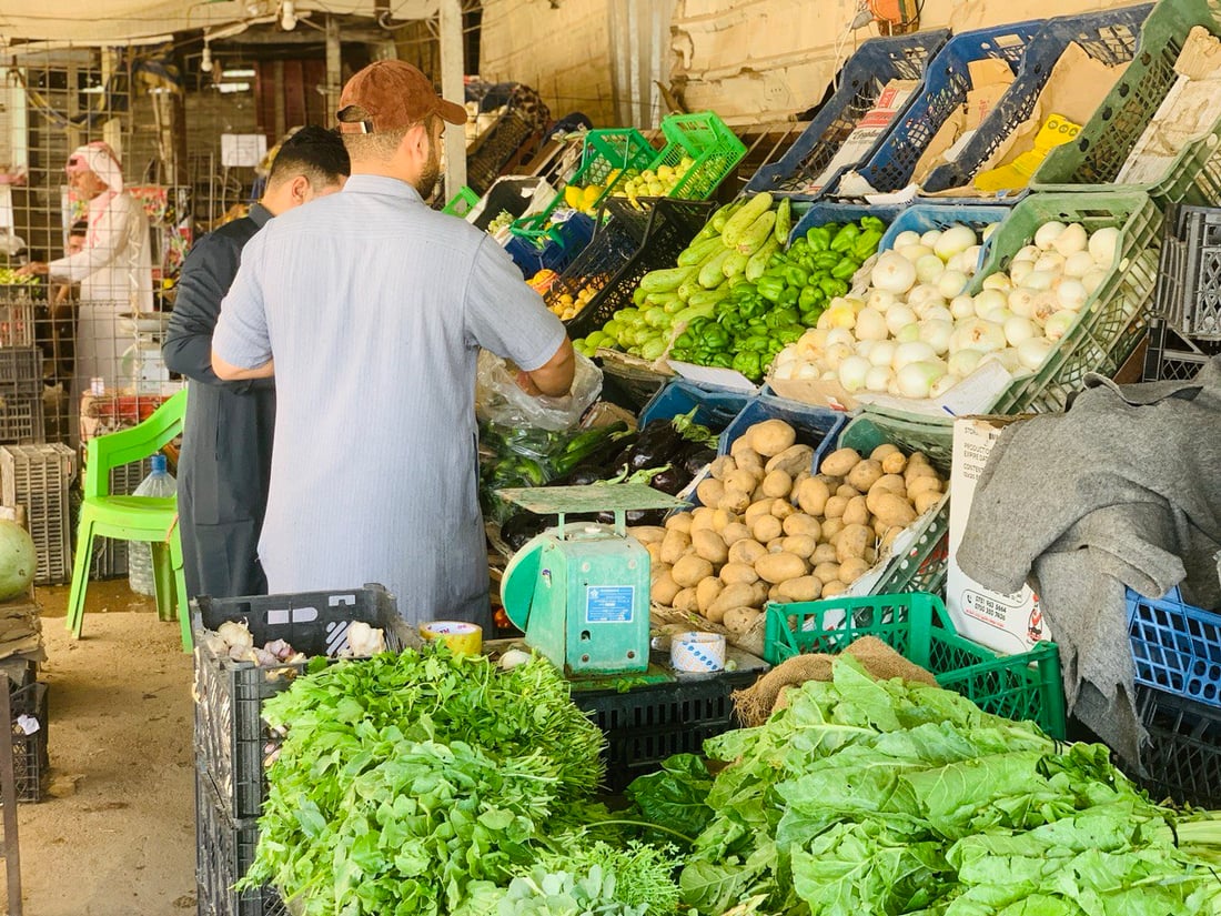 بغداد تنتظر خيرات ربيعة.. البامية إلى 3 آلاف لكنها ستتأخر قليلاً هذا العام (صور)