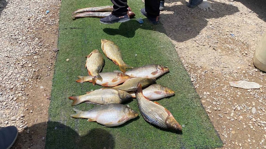 دەریاچەی حەمرین خەرمانێک خێری بۆ ناوچەکە هێنایەوە 