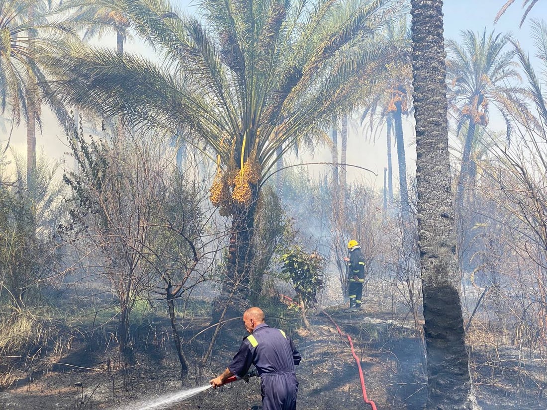 ئاگرێک بووە هۆی سووتانی چەندین دارخوورما لە خانەقین