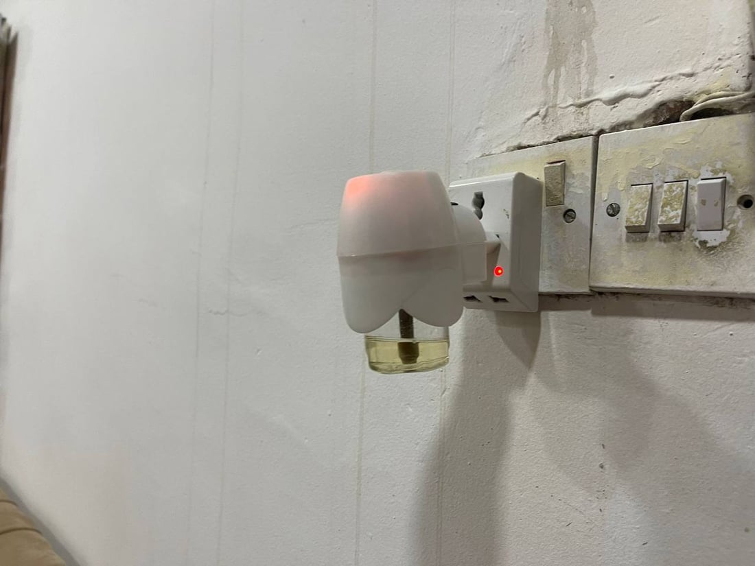 البعوض يغزو العراق مع نهاية الشتاء.. “استنفار” شعبي ورسمي في بعقوبة