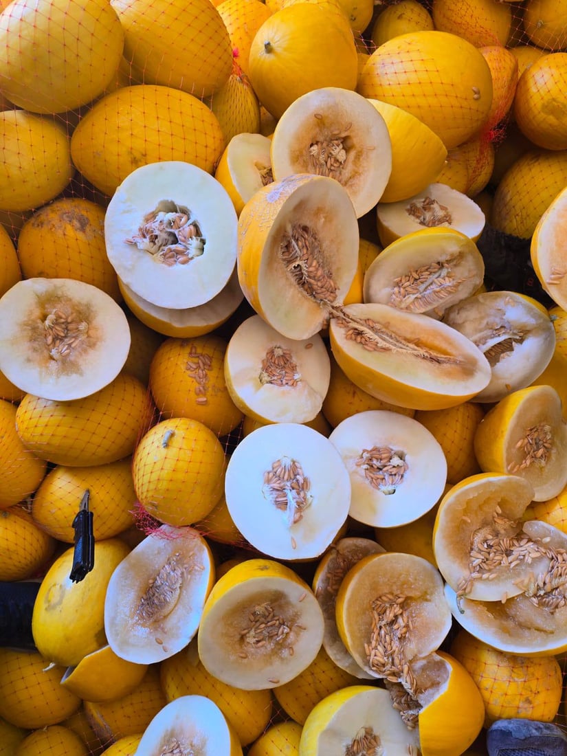 نزیکەى 11 تۆن کاڵەکى نەشیاو دەستى بەسەرداگیرا