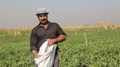 أبشروا بـ”الشلغم والشوندر” يا أهل نينوى.. صالح زرع 10 دوانم في الشمسيات