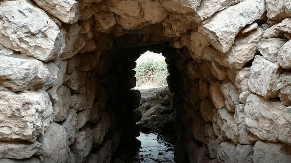 ئەو گروپەی لە ئاکرێ شوێنەواریان شێواندبوو دەستگیرکران