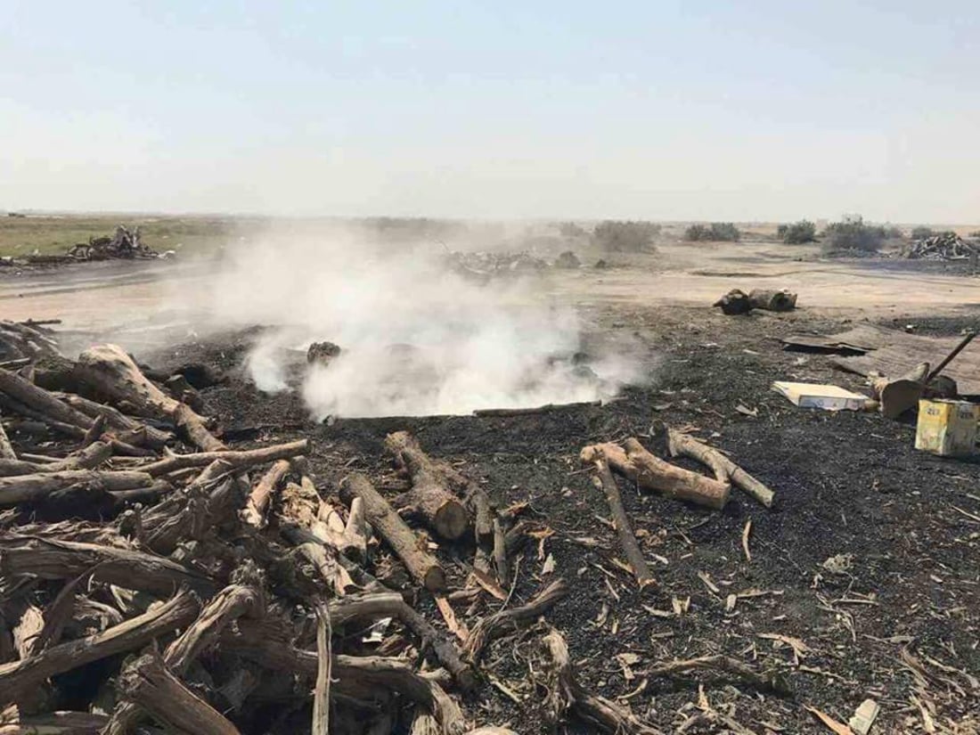 الشوي على خشب حمضيات ديالى ليس كغيره.. الفحامة في أفضل حال والمنتوج إلى البصرة