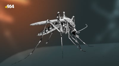 ئەمەریکا بە دەستی ئەنقەست 32 ملیۆن مێشوولە بڵاودەکاتەوە