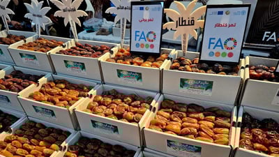 مستشار السوداني: العراق صدّر 500 ألف طن من التمور إلى الهند والمغرب وأوروبا