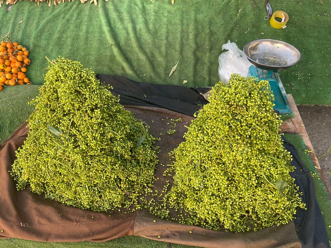 قەزوانەکەی چەمی رێزان خواستی زۆری لەسەرە