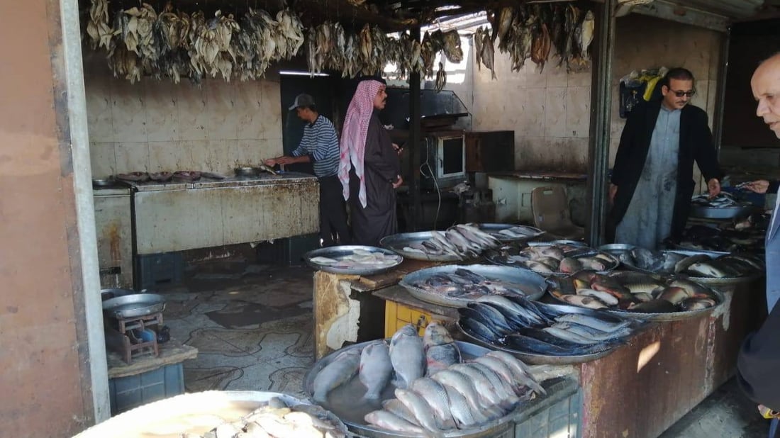 البصرة تمنع البني والشبوط 60 يوماً.. دعوها تتكاثر وسفن البحر تكفي حتى نيسان (صور)