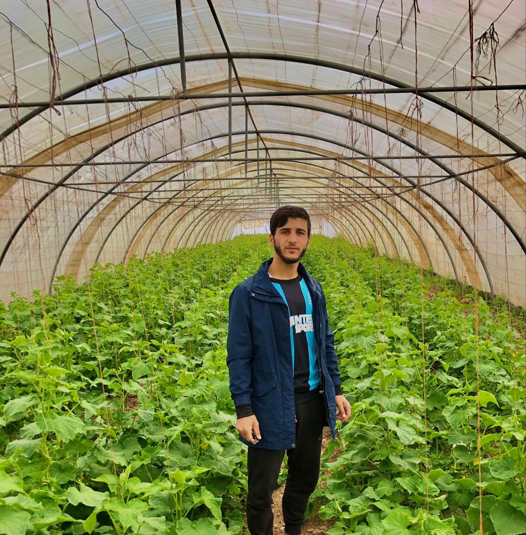 صور من داخل بيوت الخيار العراقي.. مذاقه حلو ورائحته شهية ولا مقارنة مع المستورد