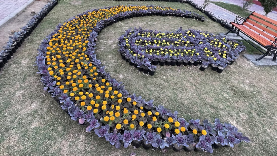Basra’s city municipality hosts flower exhibition
