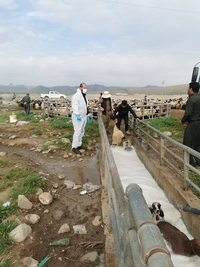 ئیداره‌ى راپه‌ڕین هه‌ڵمه‌تێكی فراوانى خۆپارێزى له‌ په‌تاى خوێنبه‌ربوون ده‌ستپێكرد