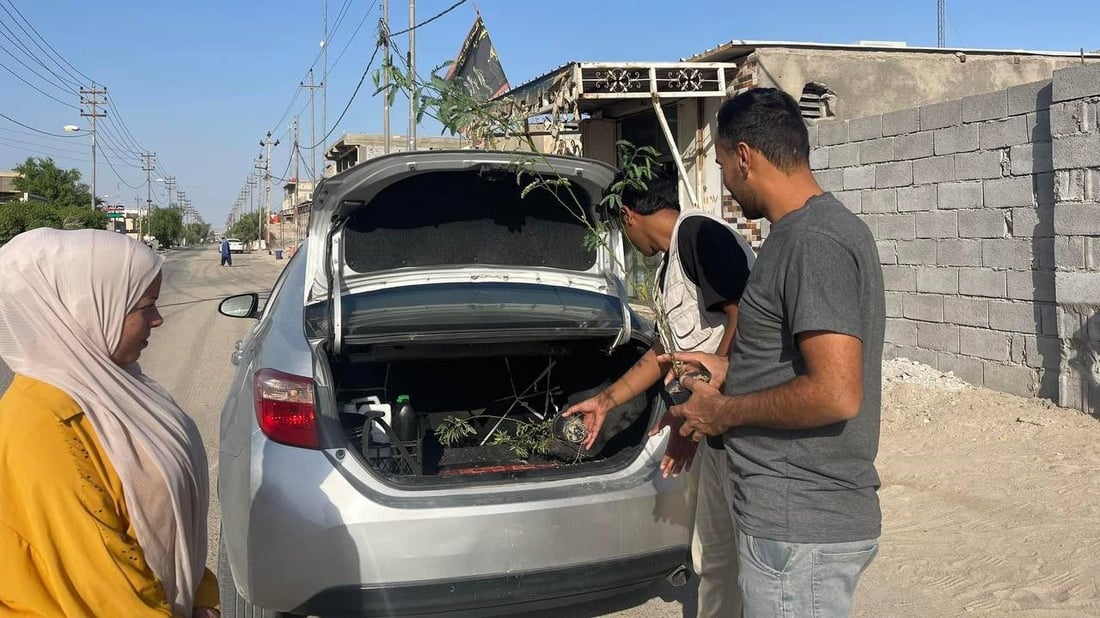 اتفاق مع أهل خور الزبير.. نزرع “شوك البحر” أمام بيوتكم وتتعهدون السقي (صور)