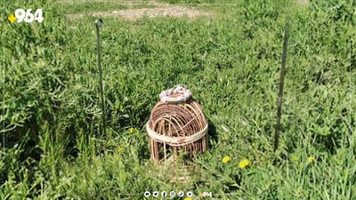 دوو کەس لە کاتی راودا دەستگیرکران