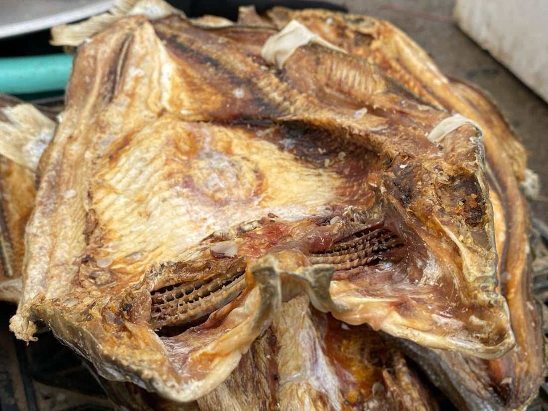 حان وقتها.. “مسموطة” أم سالم ستسافر من “هرج” إلى أمريكا وأوروبا (صور)