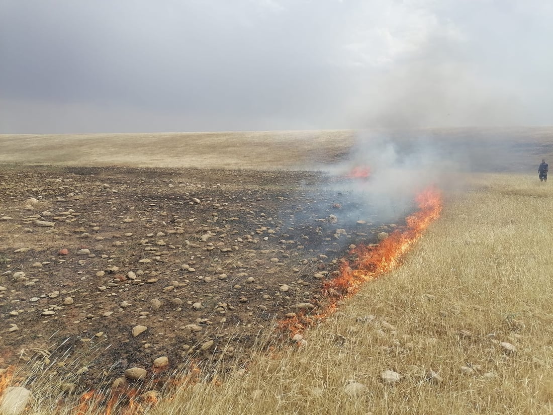 بەرگری شارستانی كەلار دەڵێت ئاگرەكان بەبێ زیانی گیانی كۆنترۆڵكراون و زیانە مادیەكانیش زۆر گەورە نین و توانراوە زۆر بە باشی رێگری لە تەشەنەكردن و گەورەبوونیان بگیردرێت