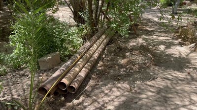 باخەکانی مەندەلی تینوون و وشکەساڵی تەنگی پێهەڵچنیون