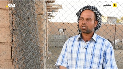 60 سەر مەڕیان لێدزیوە