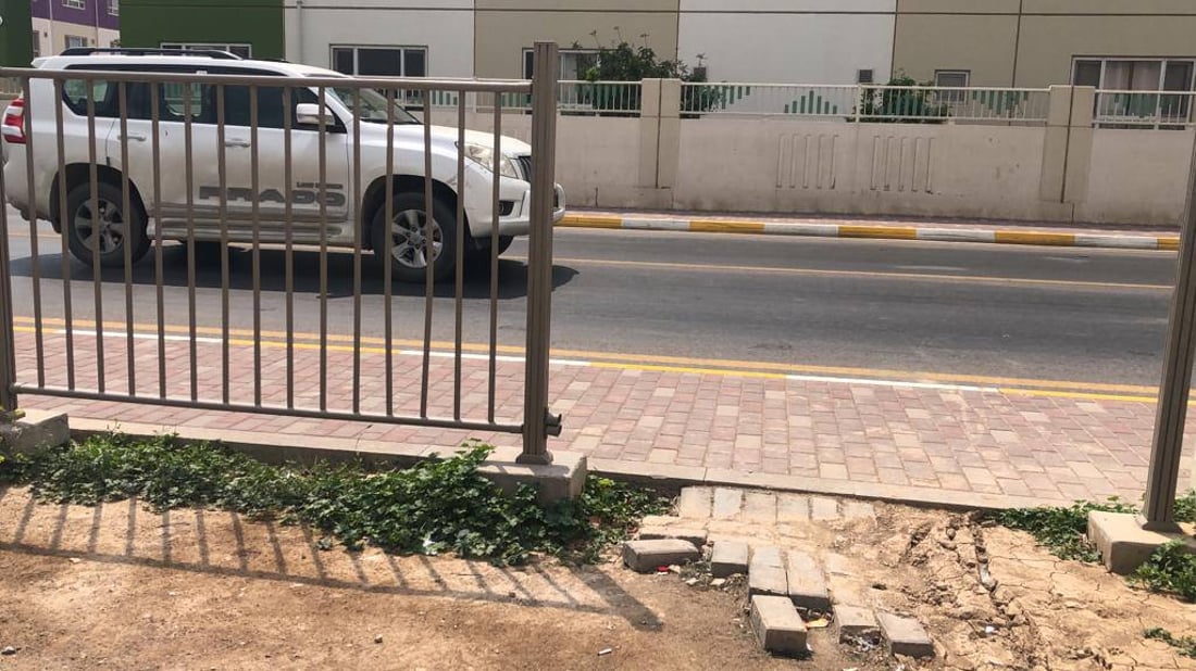 صور: سكان بسماية يعرضون 50 دولاراً مقابل عودة “هانوا”.. لم نجن سوى “بند القمامة”