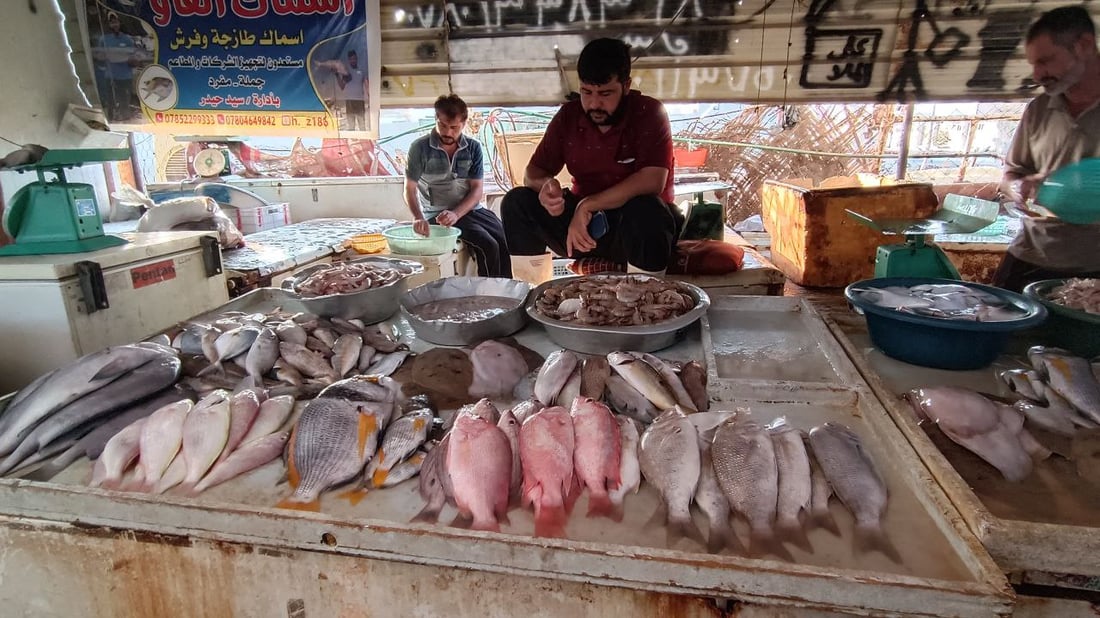 7 أنواع للأسماك في النقعة الجمعة.. جربوا “البرطام” ولن تندموا (صور)