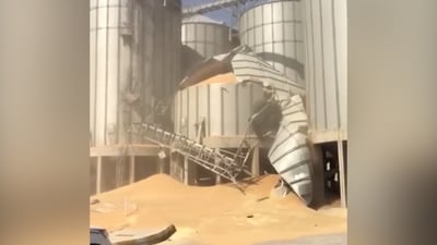 Collapse at Dhi Qar grain silo prompts investigation by trade ministry