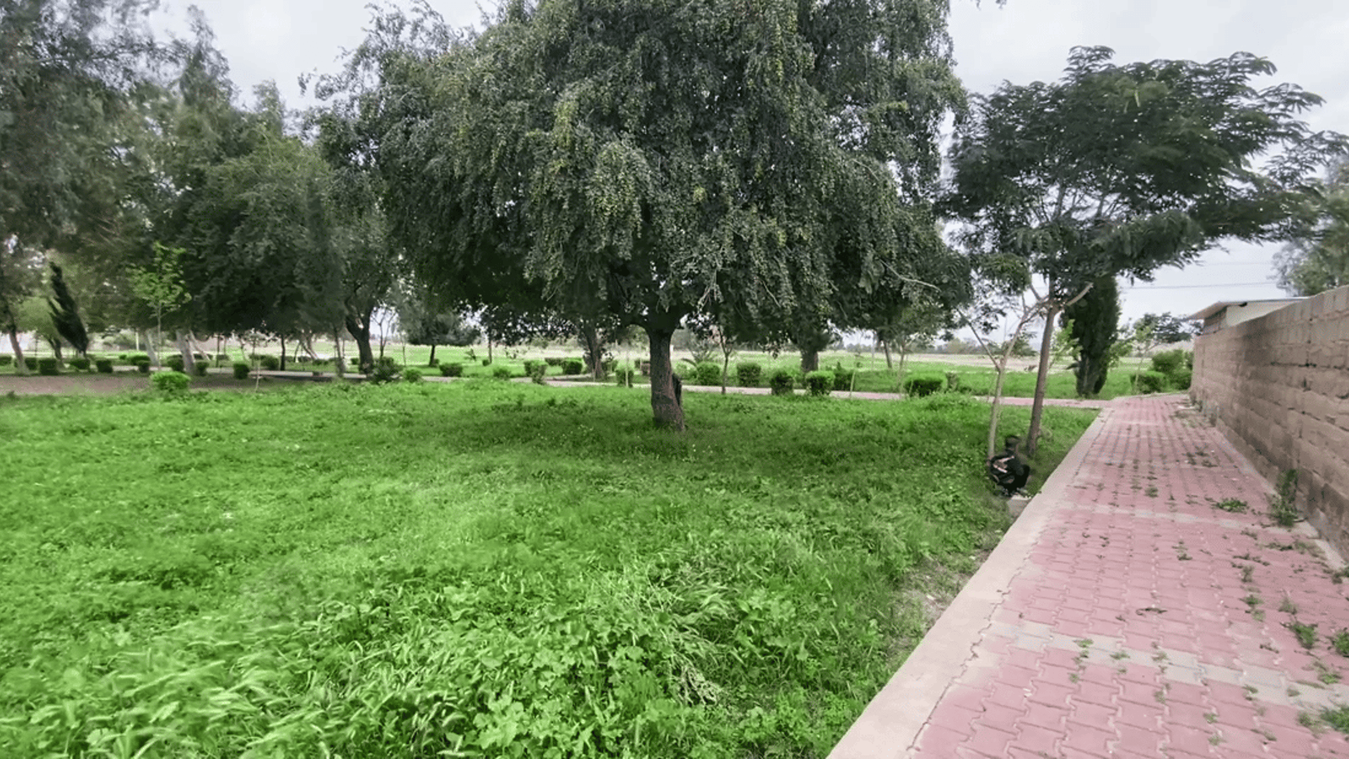 Iraqi parliamentary committee pushes for park expansions, aiming to ...