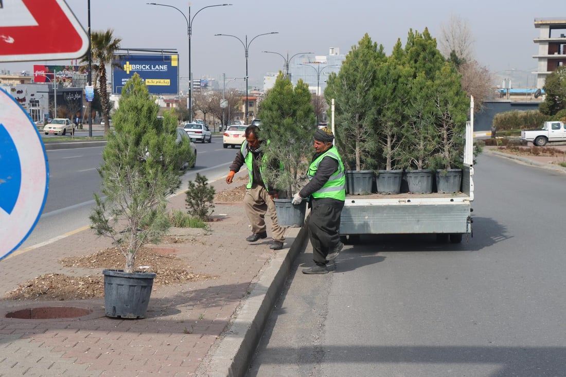 بەم رەمەزانە بەڕێوەبەرایەتى باخچەکانى سلێمانى لە نەمام رواندن ناوەستێ