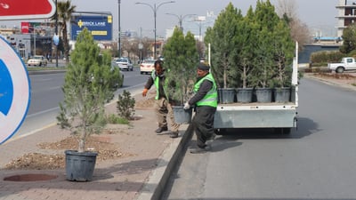 بەم رەمەزانە بەڕێوەبەرایەتى باخچەکانى سلێمانى لە نەمام رواندن ناوەستێ