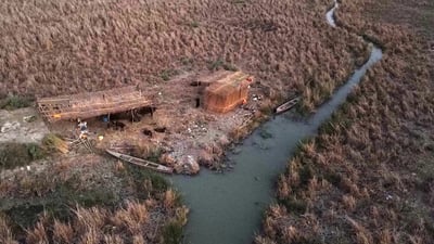 ماسى و گامێش و قامیش بەرەو لەناوچوونن