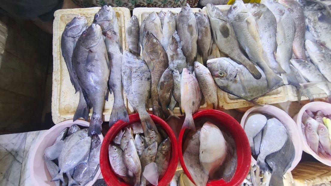 الهامور يسيطر على مزاد الفاو الكبير.. 5 أطنان وصلت من البحر والكيلو 10 آلاف دينار