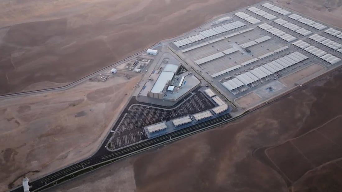 50هەزار ئاژەڵ بەیەکەوە جێگەیان دەبێتەوە 