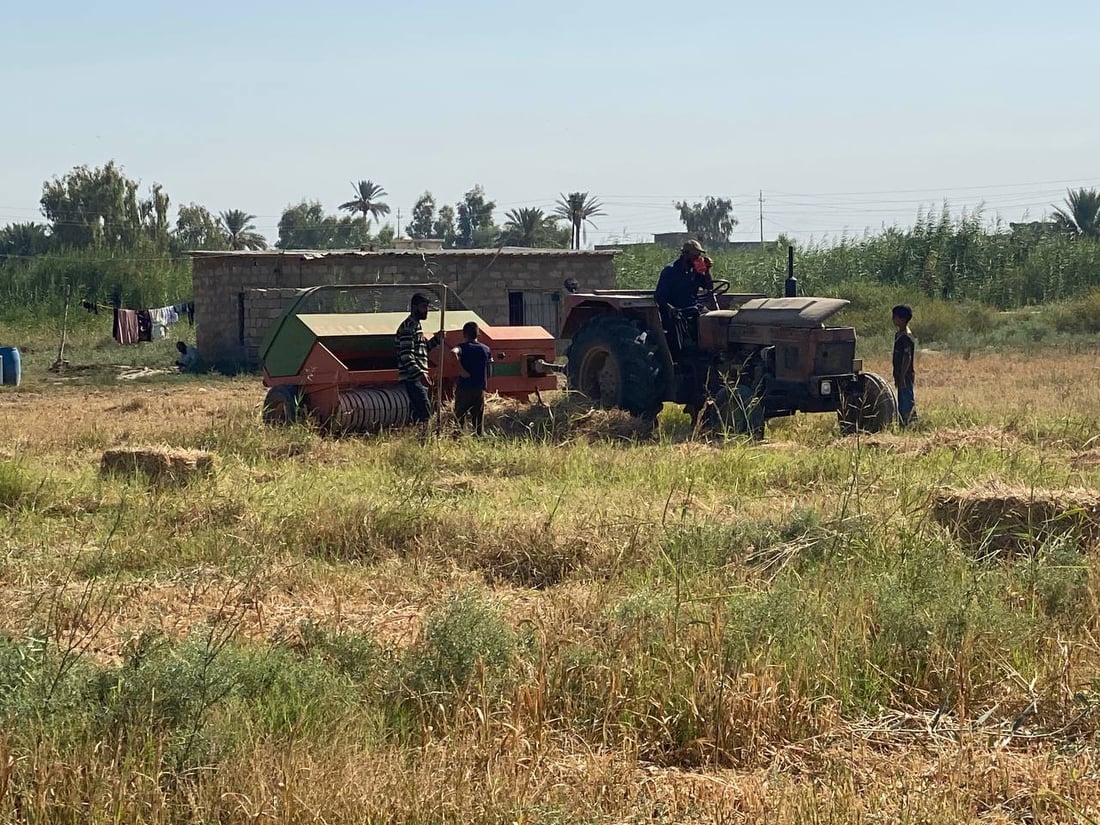 صور من مزارع أبو غريب.. اعتماد أكبر على المكائن وزيادة في البرسيم والذرة
