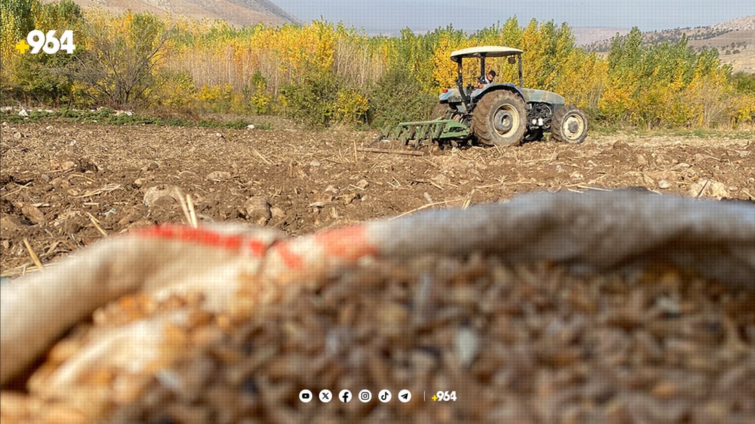 وادەی تۆماری بایۆمەتری جوتیاران بۆ گەنم لە “هەژماری من” درێژکرایەوە