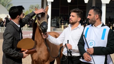 فيديو: العراق يستعرض جمال خيوله أمام العالم ومفتن يتعهد بزف بشرى رفع الحظر قريباً