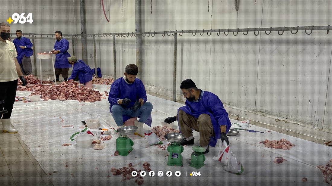 کوشتارگەی سلێمانی: “بە هۆی “گەنە”وە 50 ئاژەڵمان رەتکردووەتەوە”