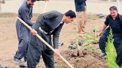 هەڵمەتێک بۆ چاندنی 1500 نەمام دەستیپێکرد