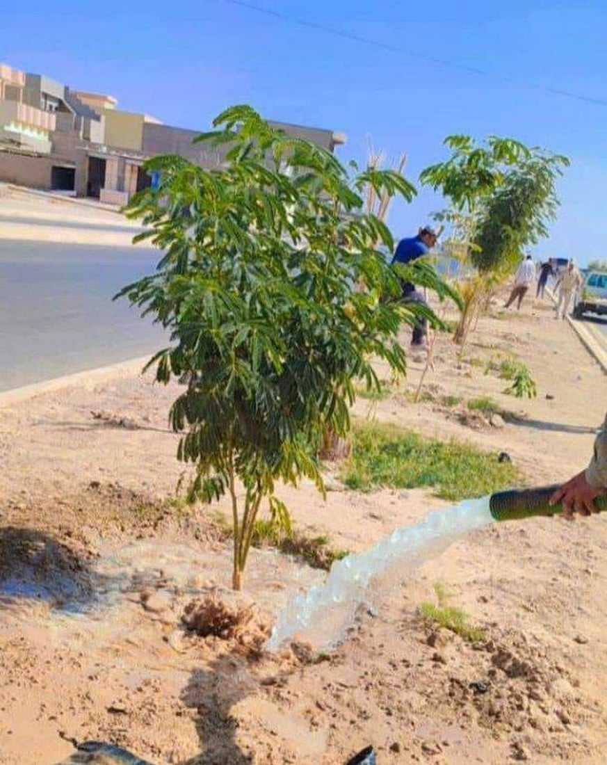 “مبادرات” على فيسبوك تزين شوارع قرة تبة بـ250 شتلة