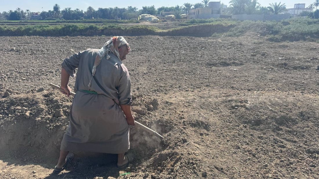من “الكوثري” إلى “مجيهيلة”.. المشخاب حرثت وفتحت السواقي وستنثر الحنطة (صور)