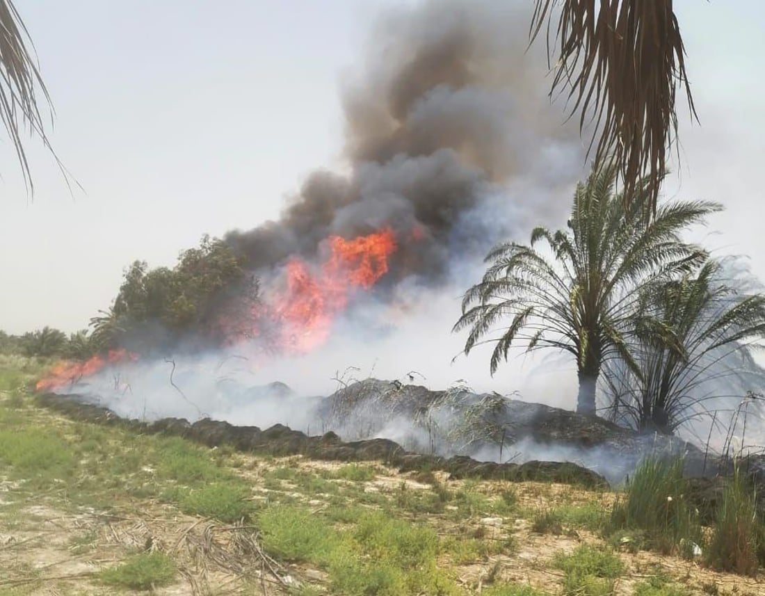 صور من الوركاء: احتراق 400 نخلة في لحظة.. محاولات ثلاثة فرق إطفاء بلا جدوى