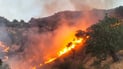 Wildfires scorch 370 acres of forests and farmline in Sulaymaniyah
