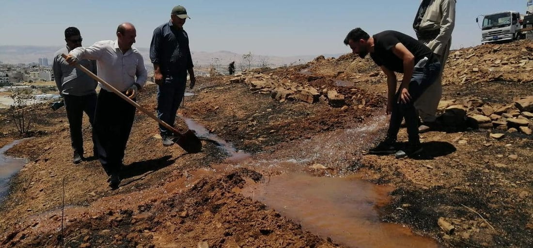 باخچە رووەکییەکەتان بیرە کە سووتا %80 بوژاوەتەوە