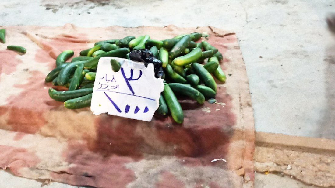 حديثة: المحاصيل المحلية تربح بسبب “أتاوات” المتنفذين على المستورد